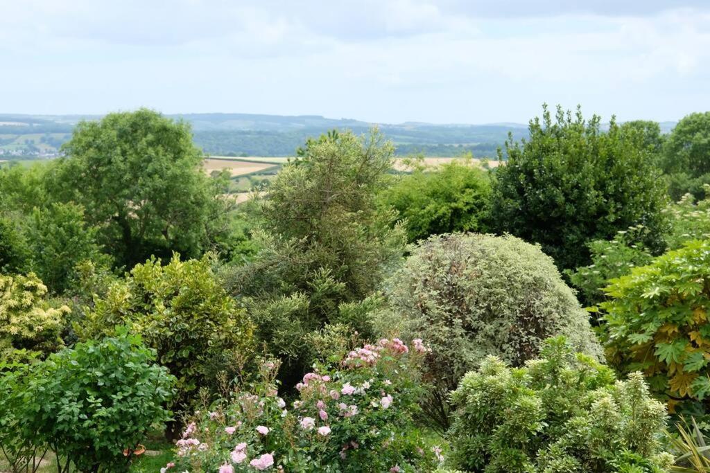 The Dairy - Quaint 1Br In Dartmoor National Park Villa Hennock Dış mekan fotoğraf